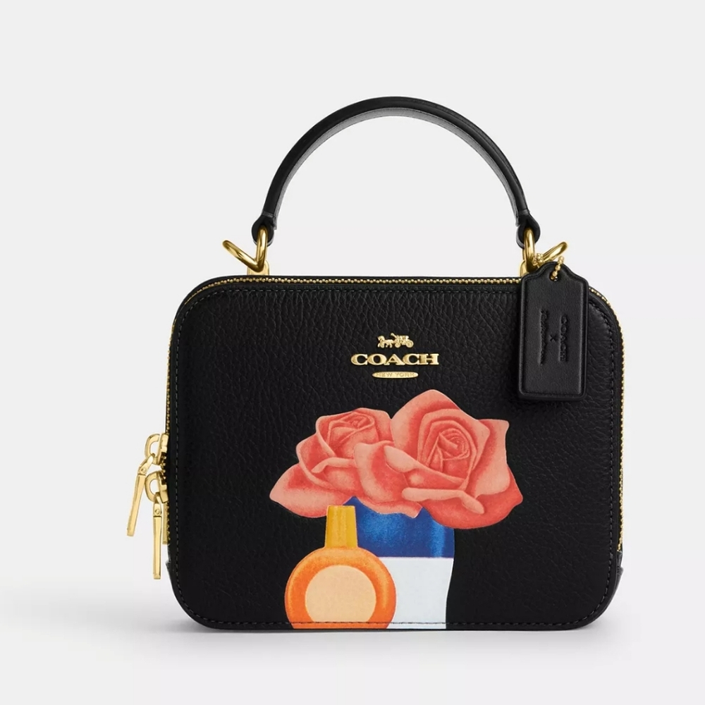Coach X Tom Wesselmann Box Crossbody CQ047